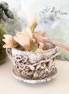 'The Teacup Pot' : Aged and distressed ceramic pot 3.14x7.08"